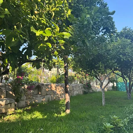 Apartament Bleta
