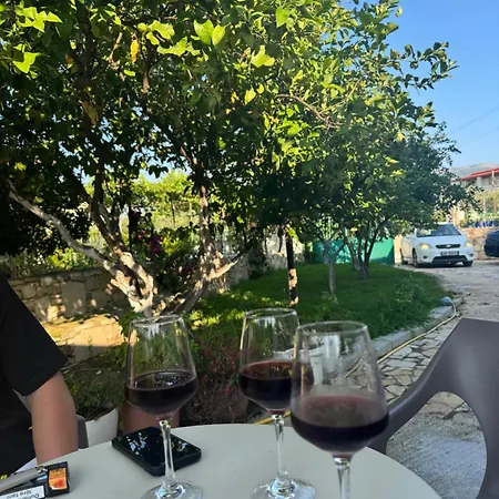 Bleta Vlore