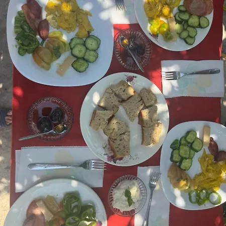 Bleta * Vlore